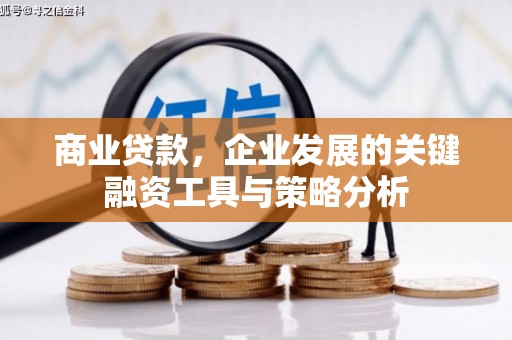 遵化市商业贷款，企业发展的关键融资工具与策略分析