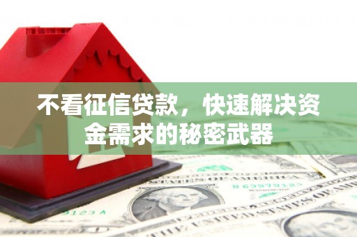 滨海不看征信贷款，快速解决资金需求的秘密武器
