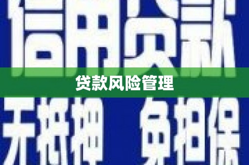 海兴贷款风险管理