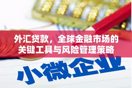 凌源外汇贷款，全球金融市场的关键工具与风险管理策略