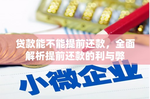 平果贷款能不能提前还款，全面解析提前还款的利与弊