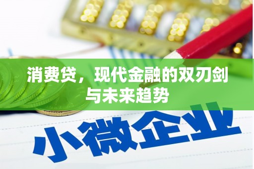 梁山消费贷，现代金融的双刃剑与未来趋势