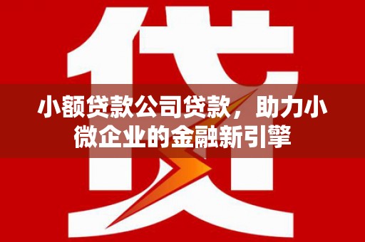 南投小额贷款公司贷款，助力小微企业的金融新引擎