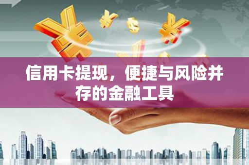 赤城信用卡提现，便捷与风险并存的金融工具