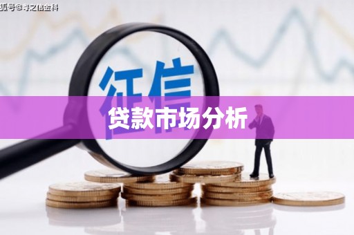 信义贷款市场分析