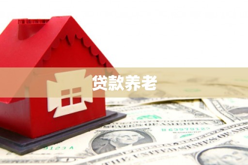 卢龙贷款养老