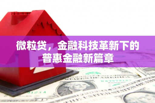 唐县微粒贷，金融科技革新下的普惠金融新篇章