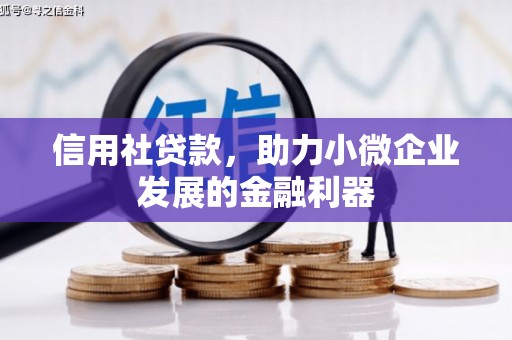 阿瓦提信用社贷款，助力小微企业发展的金融利器