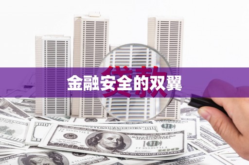 荷塘金融安全的双翼
