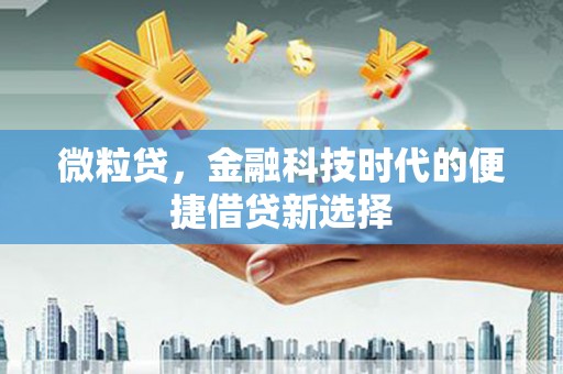 呼伦贝尔微粒贷，金融科技时代的便捷借贷新选择