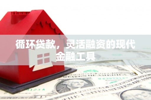 霍尔果斯循环贷款，灵活融资的现代金融工具