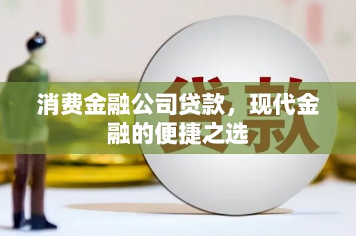 武义县消费金融公司贷款，现代金融的便捷之选