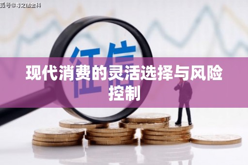 延庆现代消费的灵活选择与风险控制