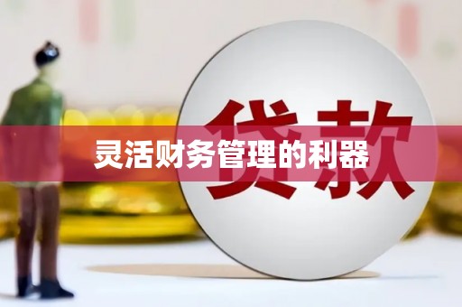 乌什灵活财务管理的利器