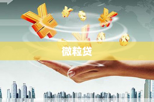 果洛微粒贷