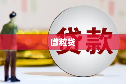 清城微粒贷