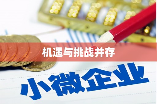 绥芬河机遇与挑战并存