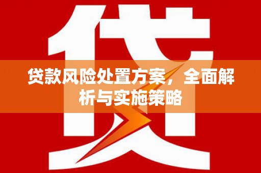志丹贷款风险处置方案，全面解析与实施策略