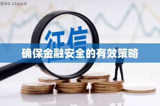 富川确保金融安全的有效策略