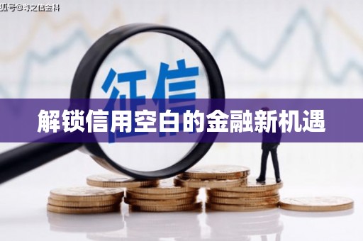 洛扎解锁信用空白的金融新机遇