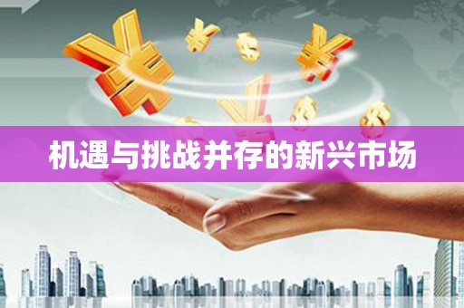 南宫机遇与挑战并存的新兴市场