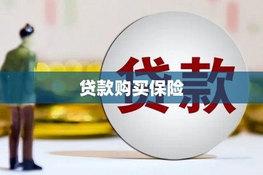 王益贷款购买保险