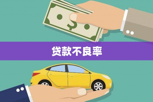 海陵贷款不良率